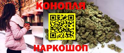 твердый Кингисепп