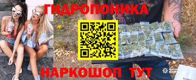 твердый Кингисепп
