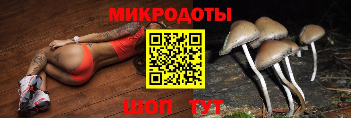 Псилоцибиновые грибы GOLDEN TEACHER  Галлюциногенные грибы Psilocybine cubensis  Кудрово  Вход с VPN 